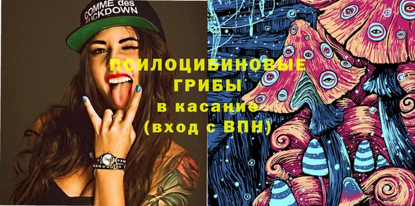 гидра Лихославль